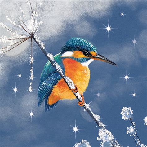 rspb christmas cards|Amazon.co.uk: Rspb Christmas Cards.